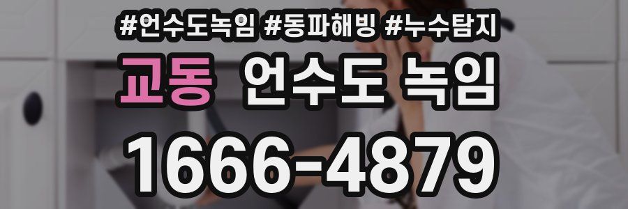 교동 언수도 녹임