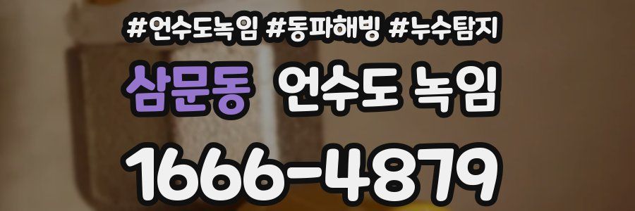 삼문동 언수도 녹임