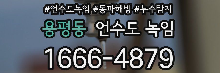 용평동 언수도 녹임