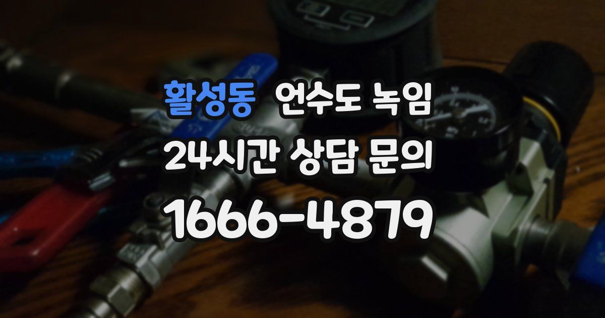 활성동 언수도 녹임