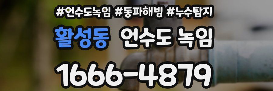 활성동 언수도 녹임