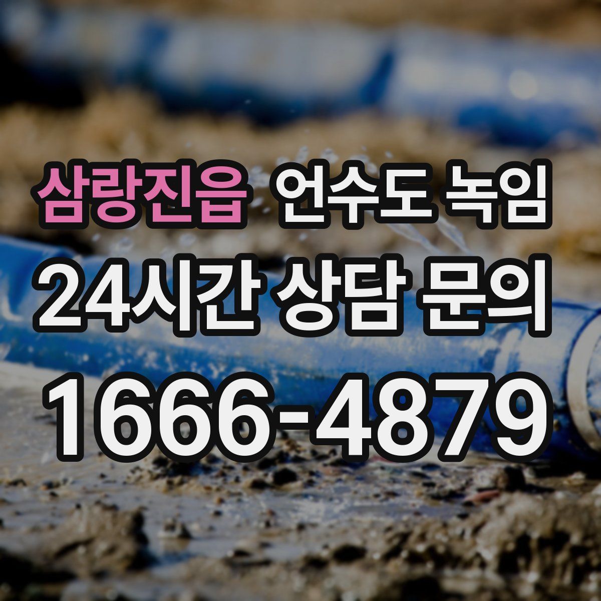 삼랑진읍 언수도 녹임