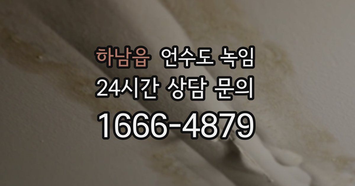 하남읍 언수도 녹임