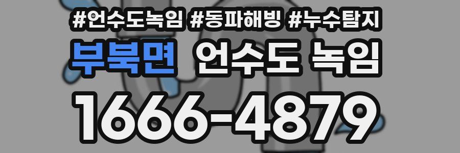 부북면 언수도 녹임