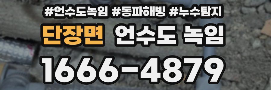 단장면 언수도 녹임