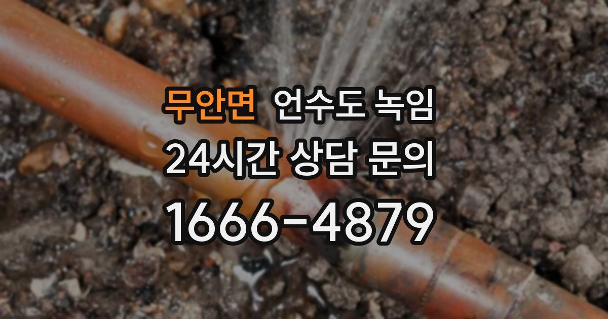 무안면 언수도 녹임