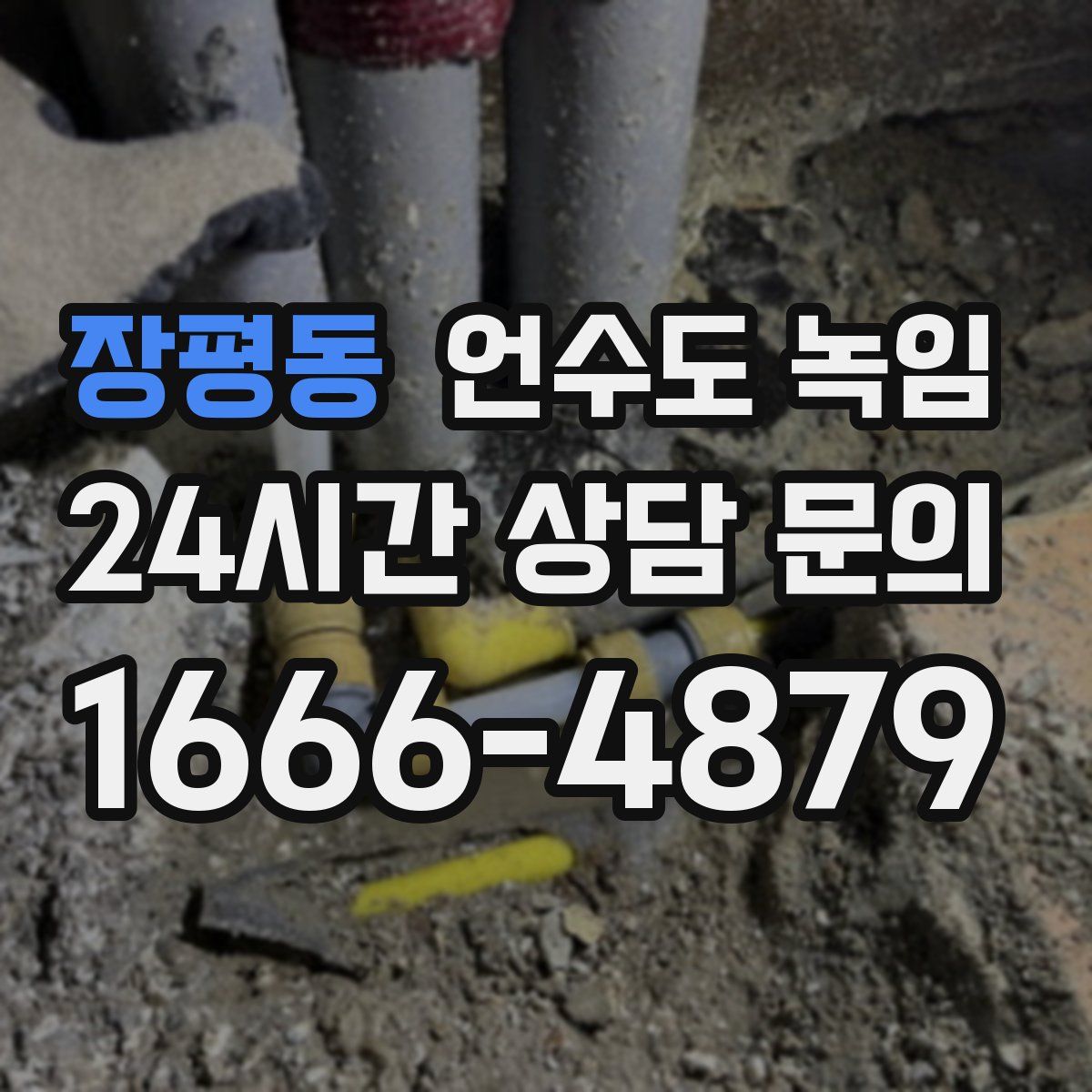 장평동 언수도 녹임