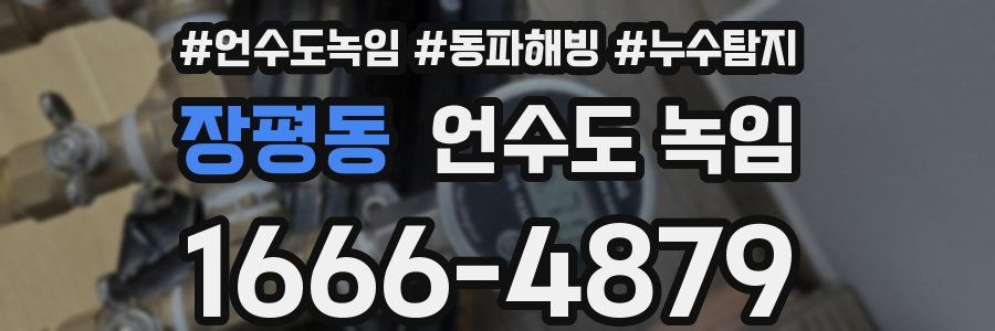 장평동 언수도 녹임