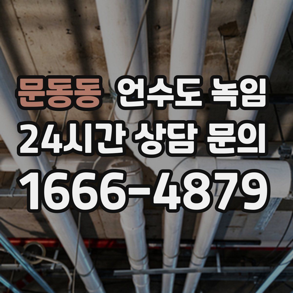 문동동 언수도 녹임