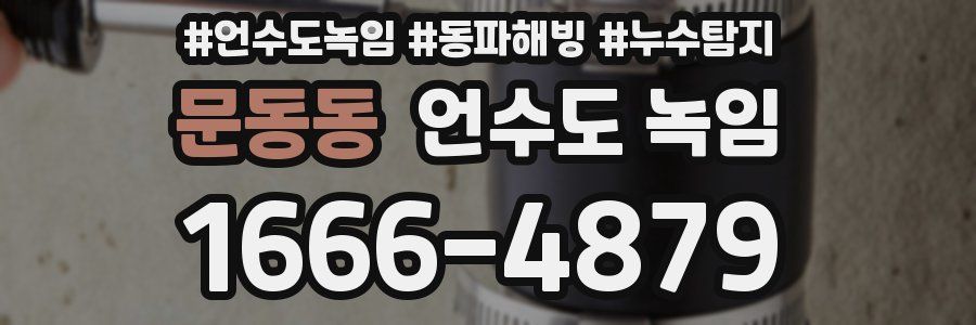 문동동 언수도 녹임
