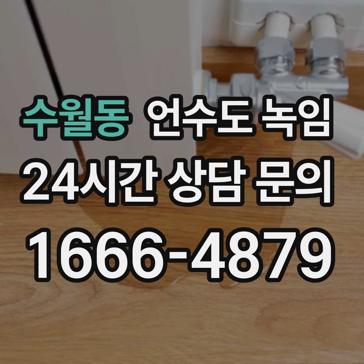 수월동 언수도 녹임