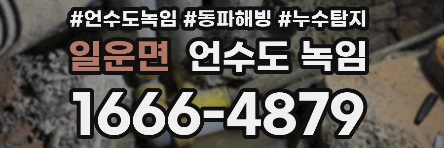 일운면 언수도 녹임