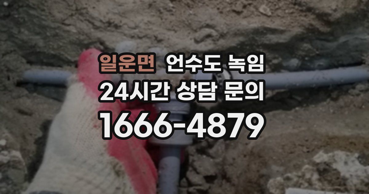 일운면 언수도 녹임