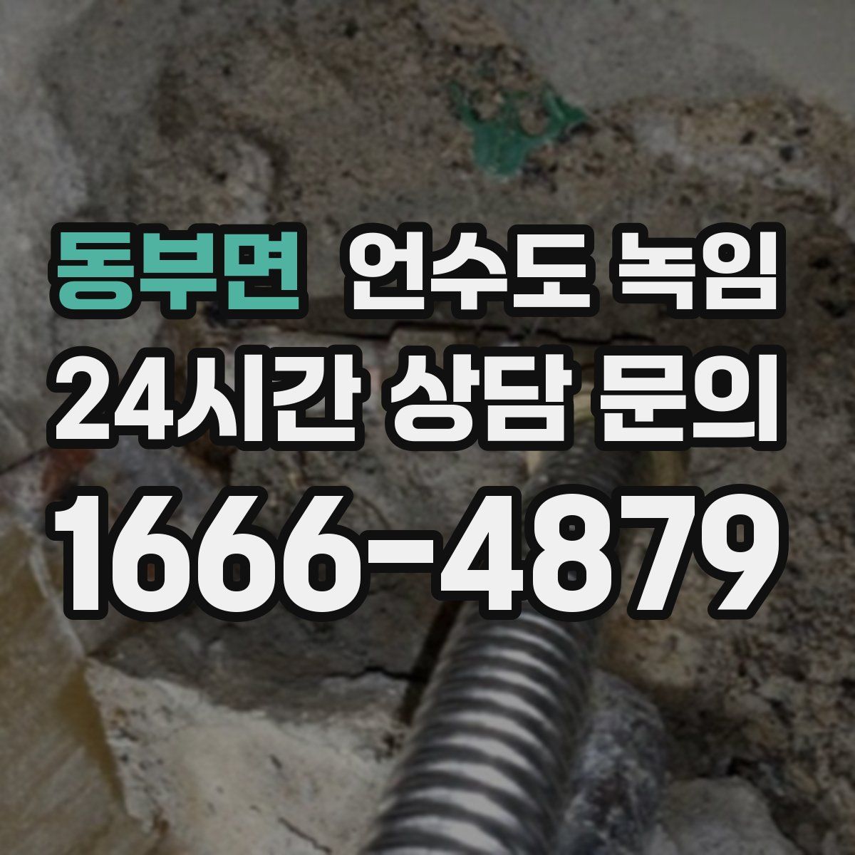 동부면 언수도 녹임