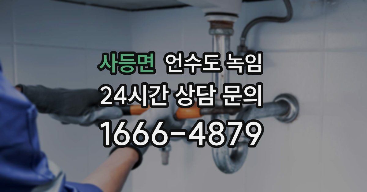 사등면 언수도 녹임