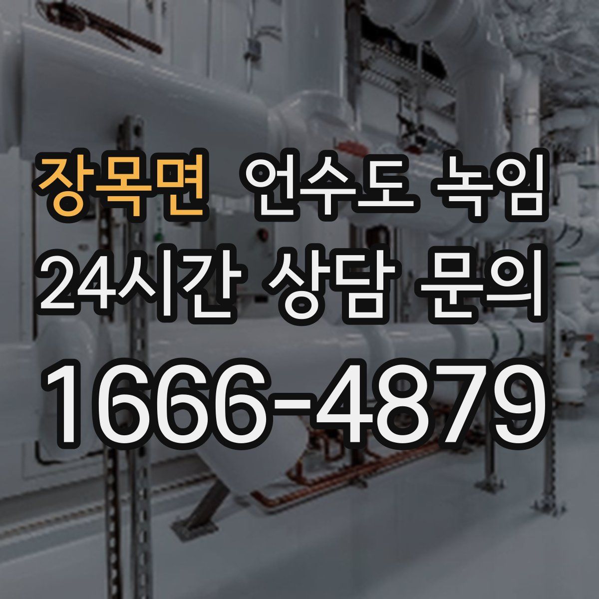 장목면 언수도 녹임