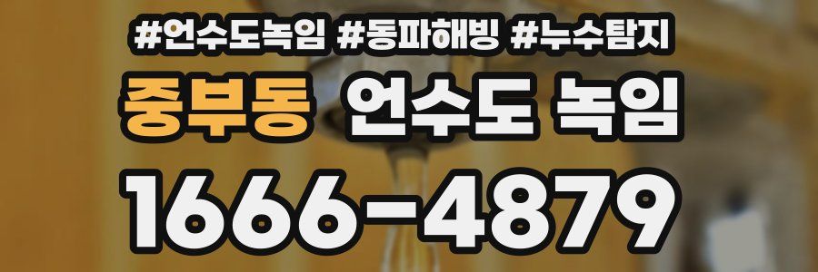 중부동 언수도 녹임
