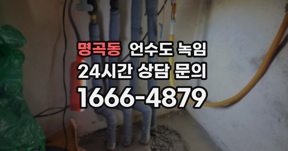 명곡동 언수도 녹임