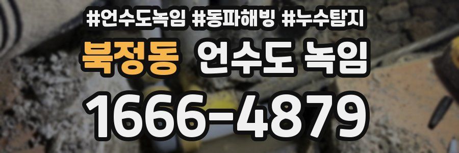 북정동 언수도 녹임