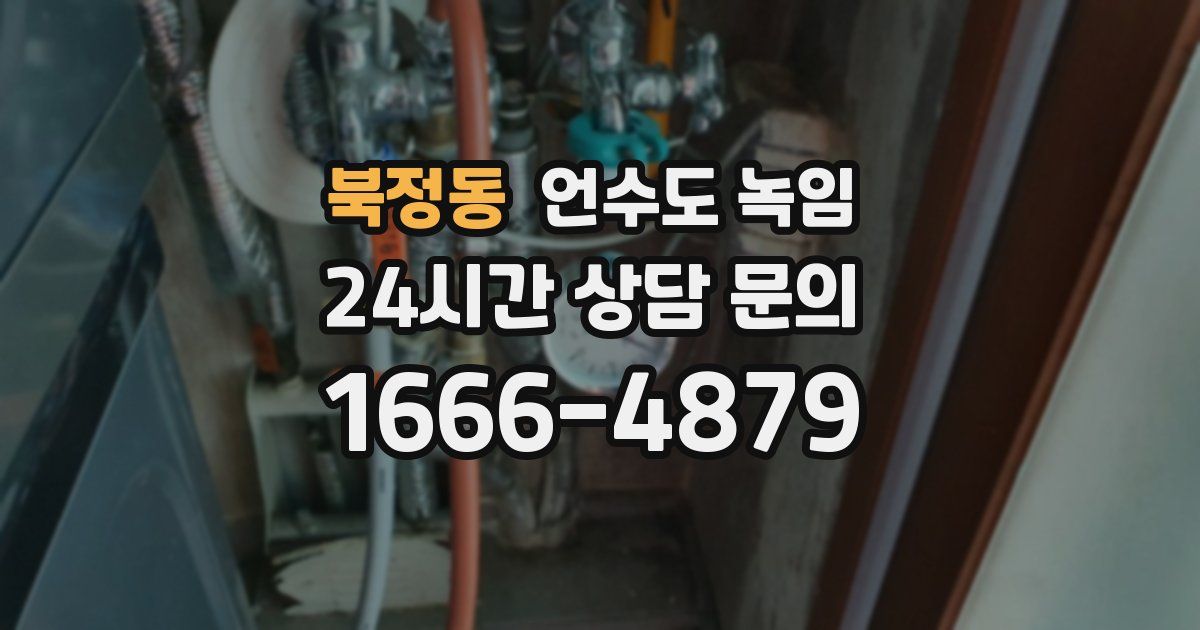 북정동 언수도 녹임