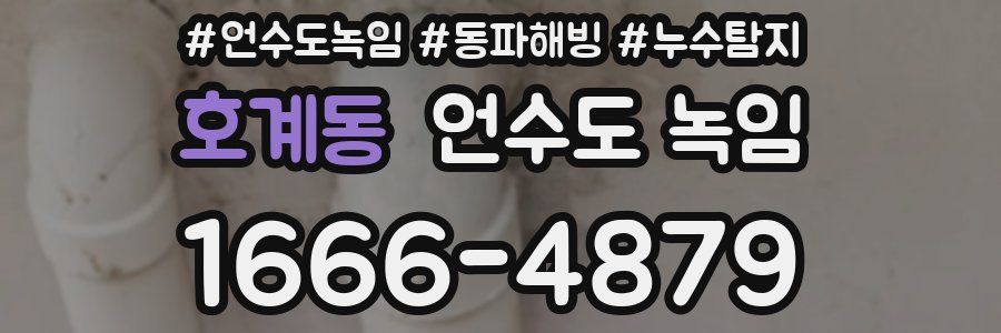 호계동 언수도 녹임