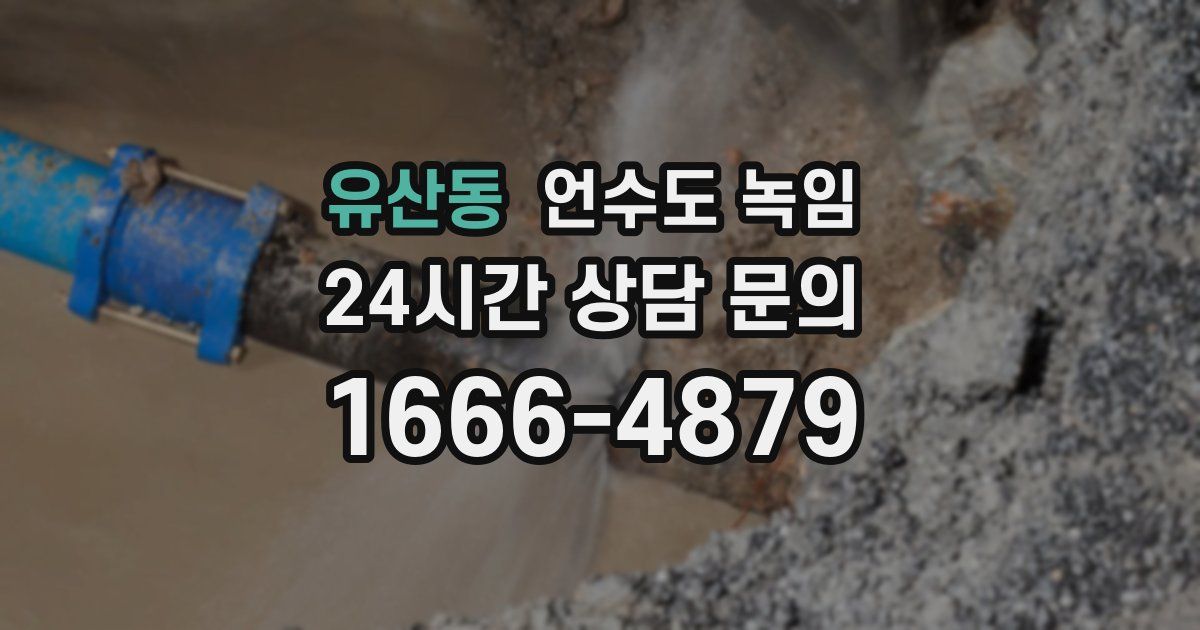 유산동 언수도 녹임