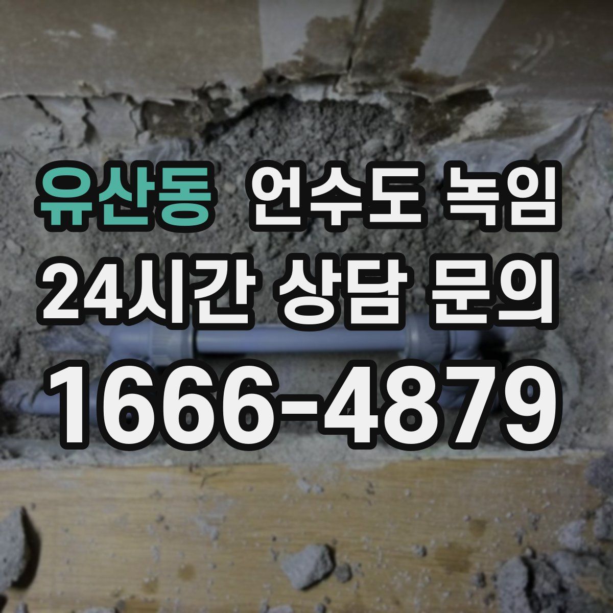 유산동 언수도 녹임