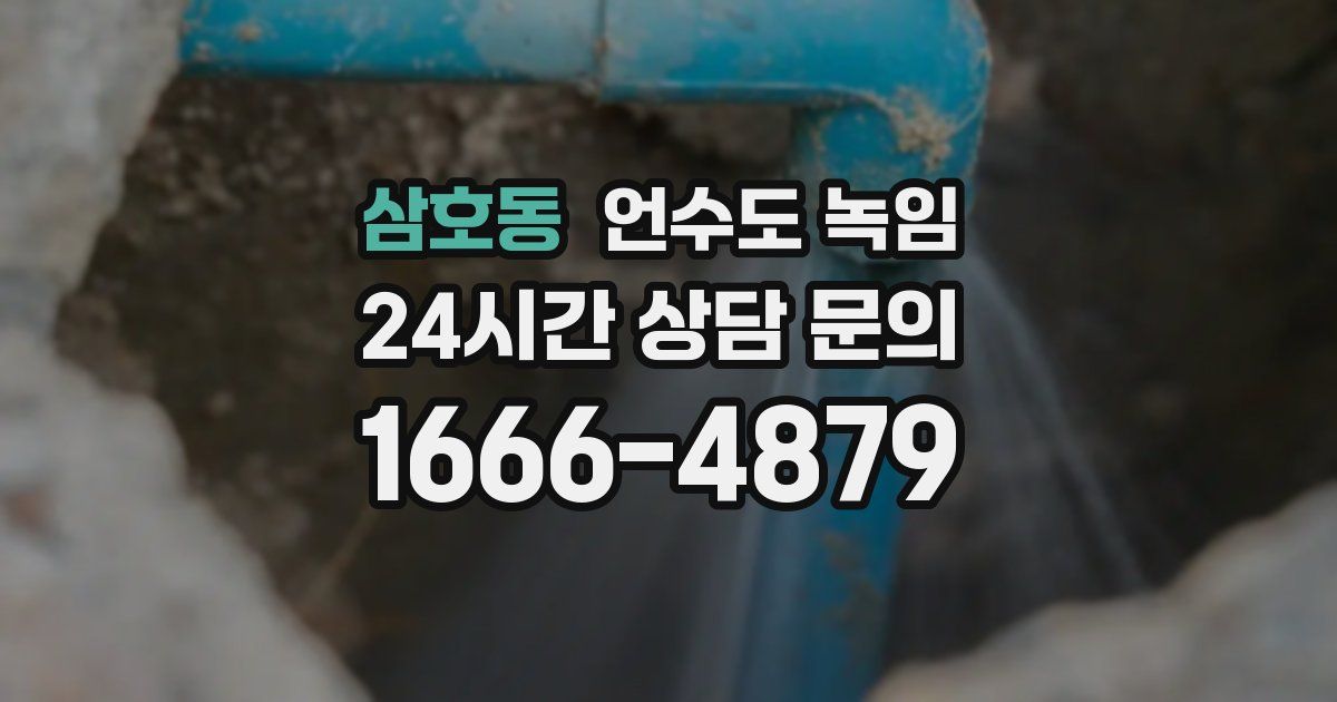 삼호동 언수도 녹임