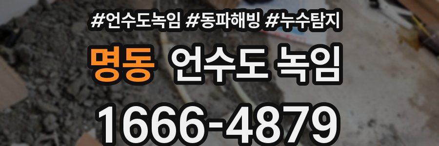 명동 언수도 녹임