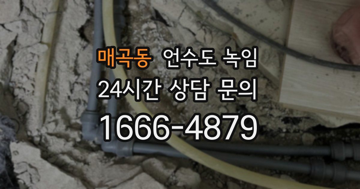 매곡동 언수도 녹임