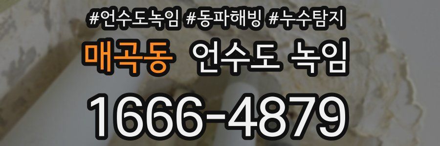 매곡동 언수도 녹임