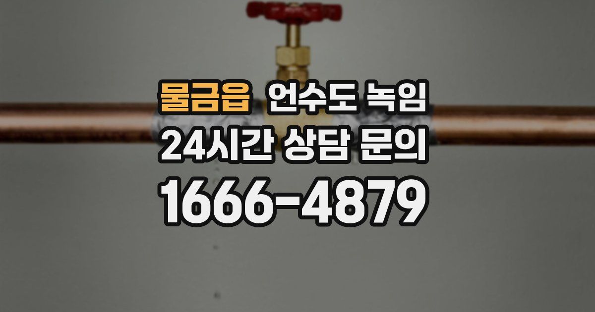 물금읍 언수도 녹임