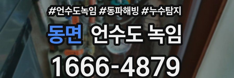 동면 언수도 녹임