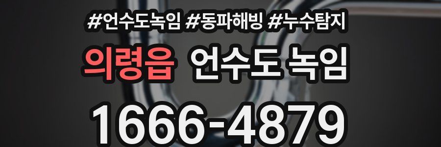 의령읍 언수도 녹임