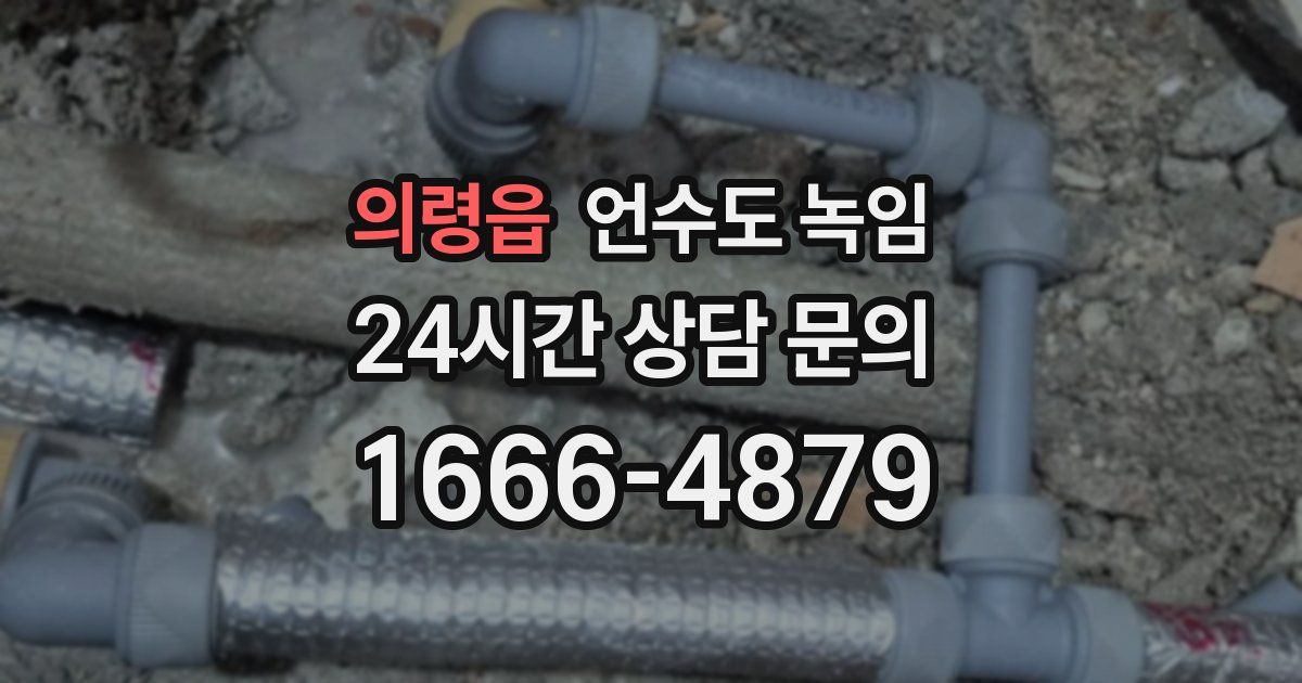 의령읍 언수도 녹임