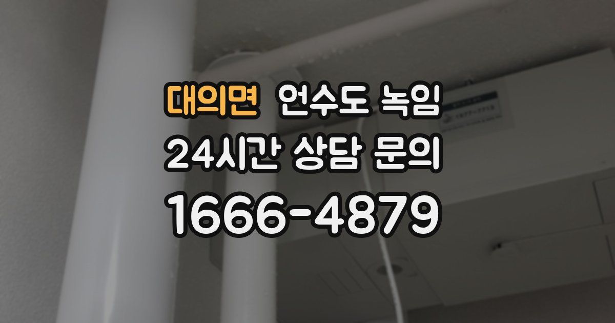 대의면 언수도 녹임