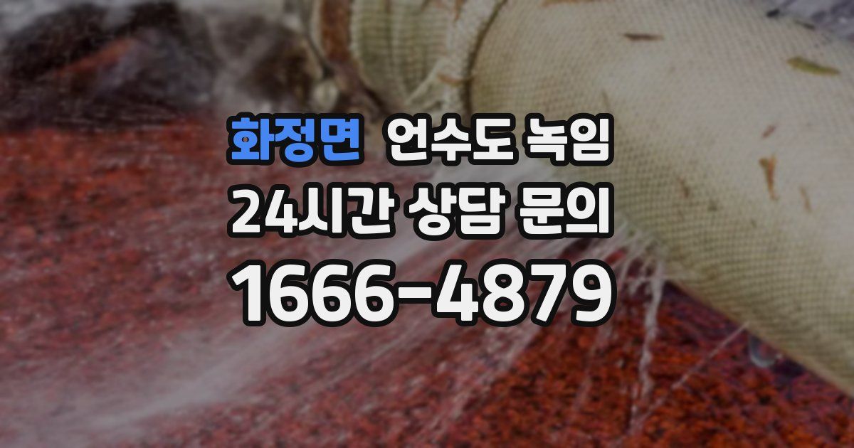 화정면 언수도 녹임