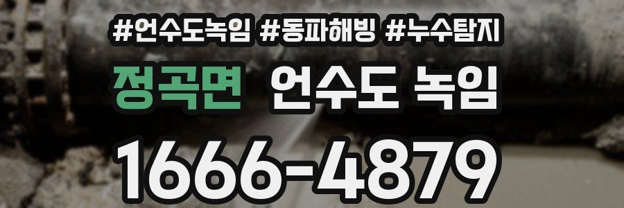 정곡면 언수도 녹임