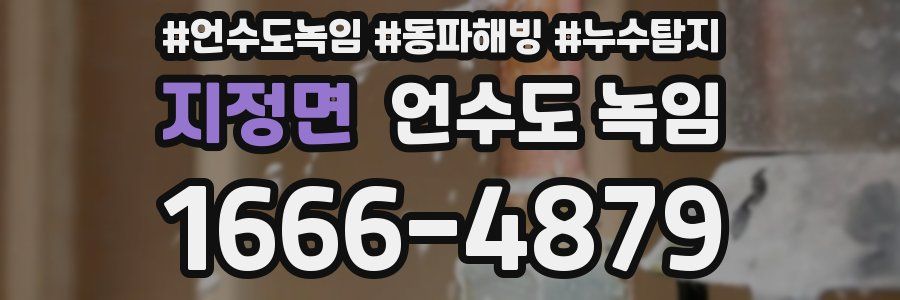 지정면 언수도 녹임