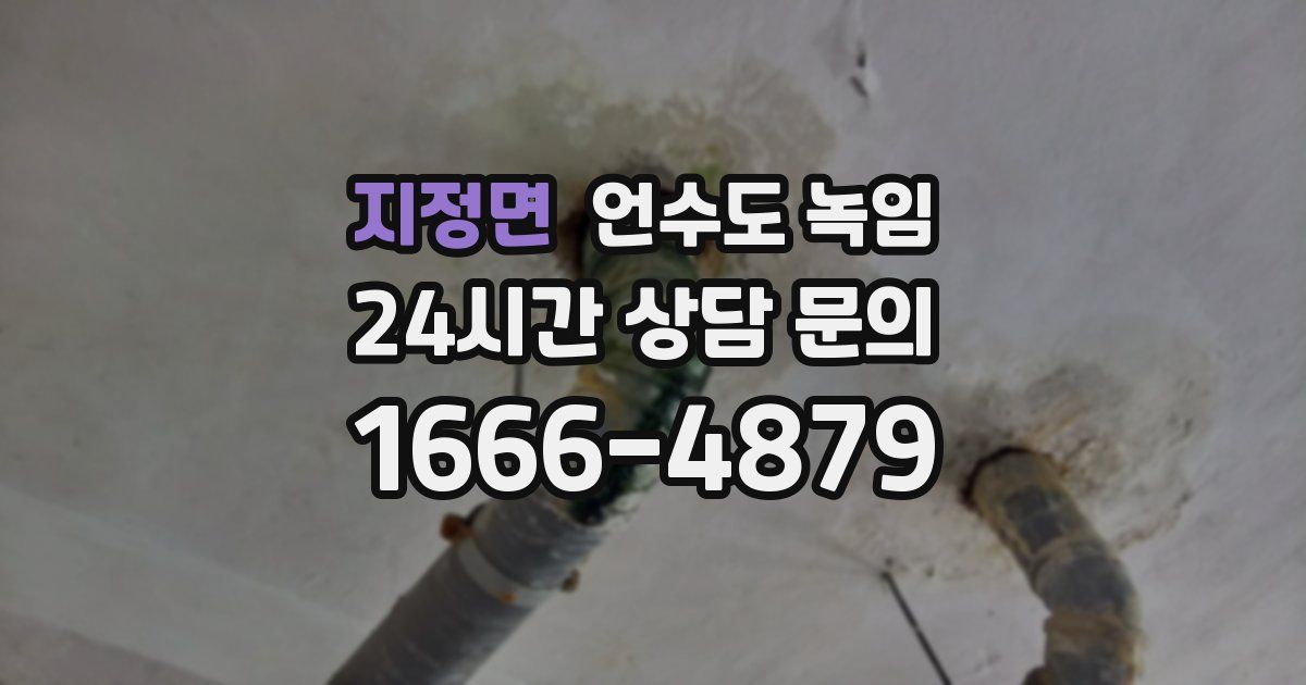 지정면 언수도 녹임