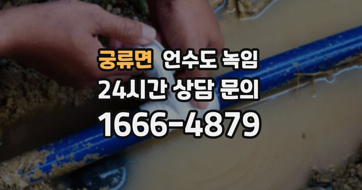 궁류면 언수도 녹임