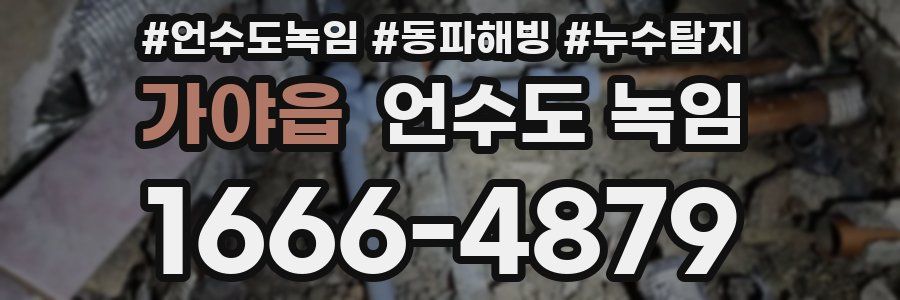 가야읍 언수도 녹임