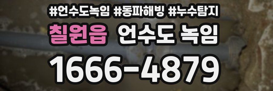 칠원읍 언수도 녹임