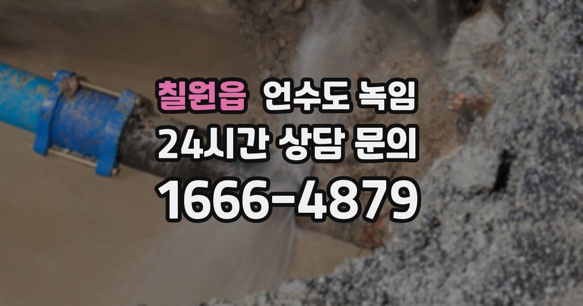 칠원읍 언수도 녹임