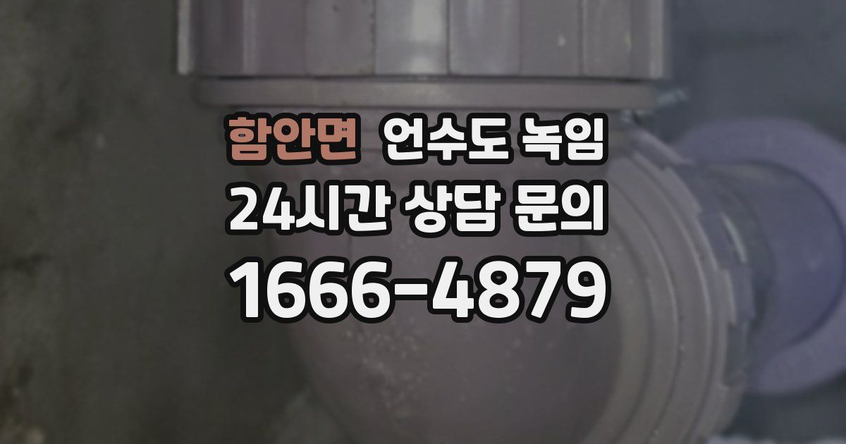 함안면 언수도 녹임