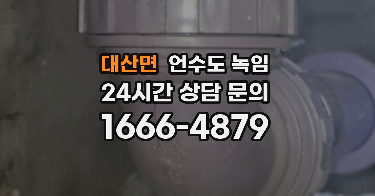 대산면 언수도 녹임