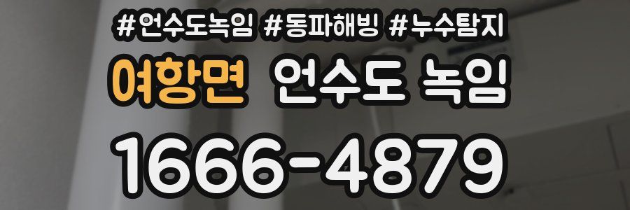 여항면 언수도 녹임