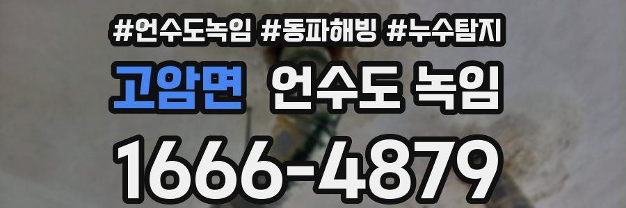 고암면 언수도 녹임