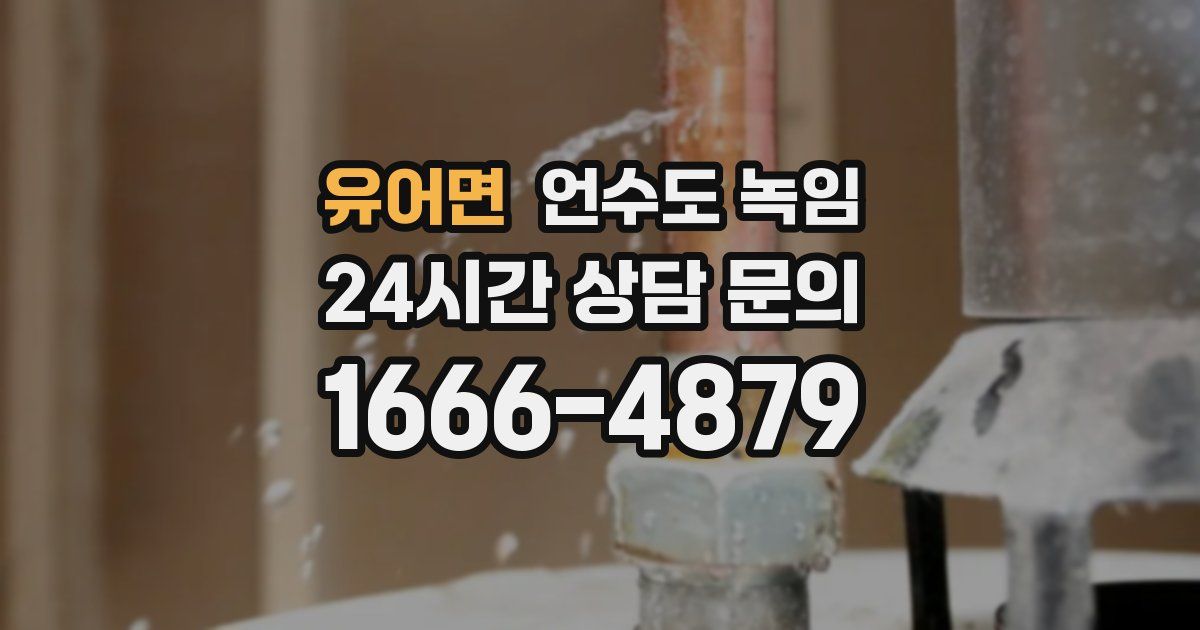 유어면 언수도 녹임