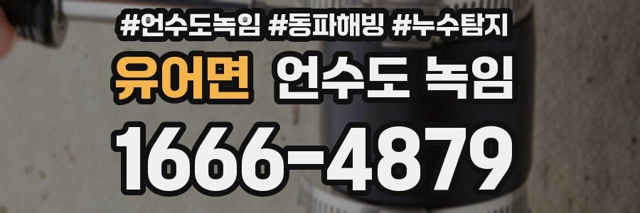 유어면 언수도 녹임